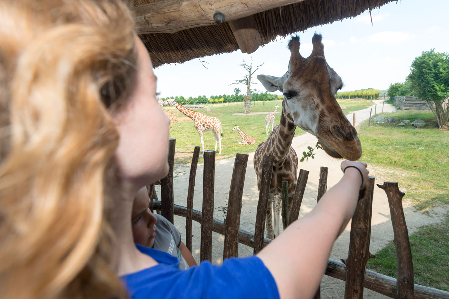 promotion du territoire, zoo de la boissiere du doré en loire-atlantique