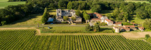 paysage de vigne et chateau, divatte sur loire, vue graphique, verdure