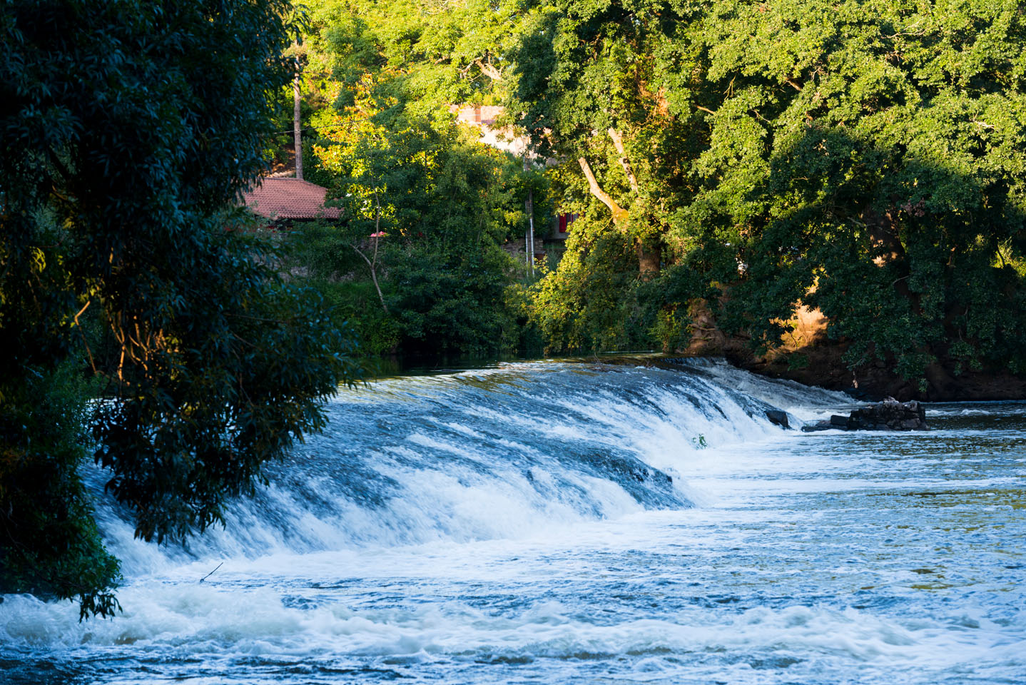 cours d'eau, la sevre nantaise, le pé de vignard, le pallet, le vignoble nantais, la loire-atlantique