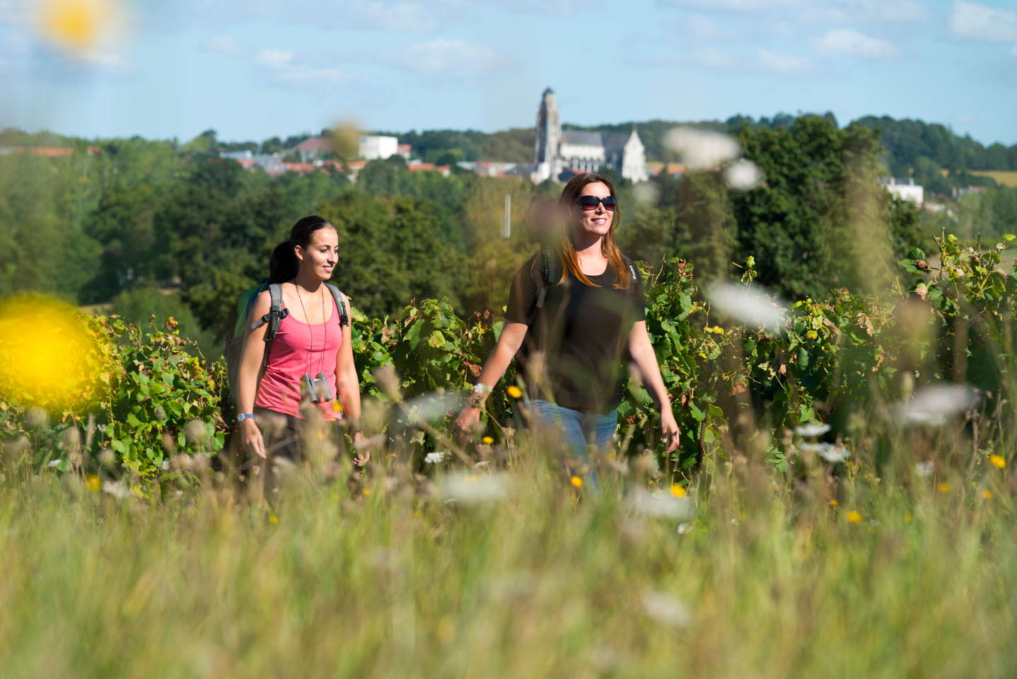 randonnee vignoble balade entre amis vallet balade à pied