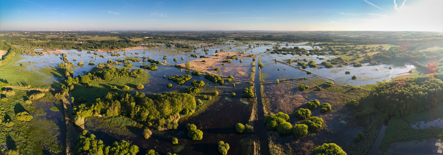 marais de goulaine